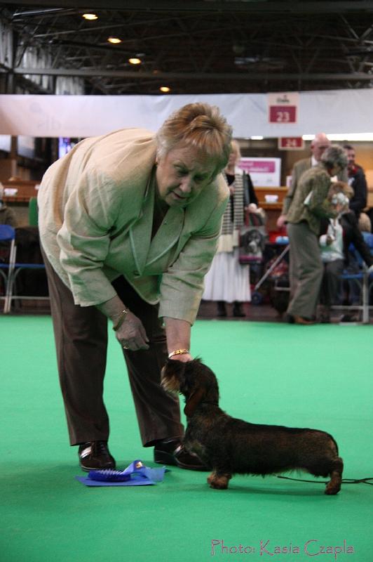 Crufts2011_2 1120.jpg